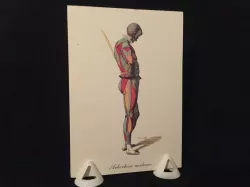 Simple Photo / Postcard / 2D Art - Holder