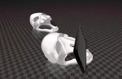 Skull phone stand