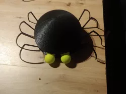 Spider Halloween