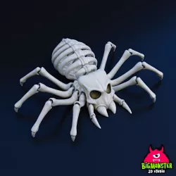 Spider Skull