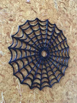 spider web