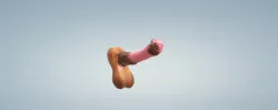 Straight Horsecock