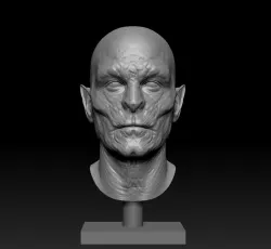 Vampire head bust