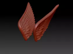 Wings, Wings