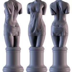 Woman Torso