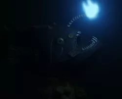 Angler Fish, Stl of an Angler Fish in 3d