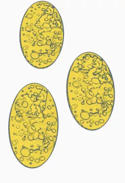 Asteroid/Moon bases - 40mm hero and 90mm x 52.5mm Oval toppers