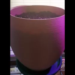 Basic Planter