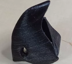 Beak