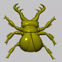 beetle, 3D beetle