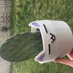 cute pot cat
