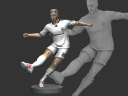 David Beckham