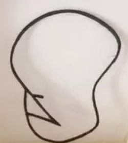 Dignity 2D