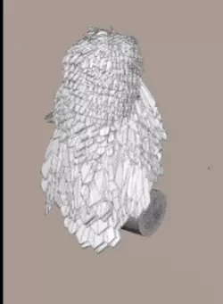 Feathered owl.