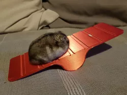 Hamster Swing