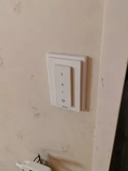 Hue light switch mount