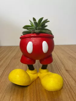 Mickey Mouse Flowerpot