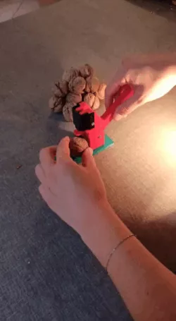 Nutcracker