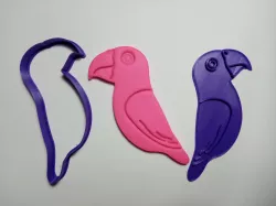 Parakeet bird