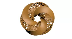 Parametric Design Ring