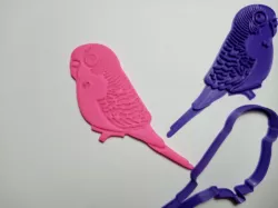 Parrot bird Bird