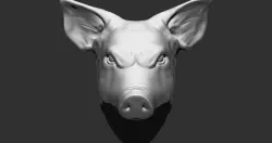 Pig - Pig