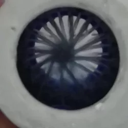 Shower blower / masturbator