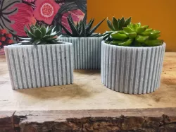 Succulent Planter