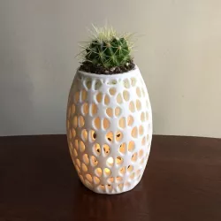 Suspended Vase