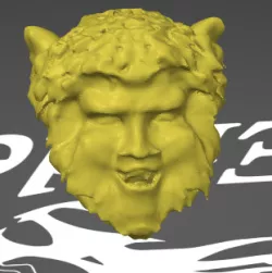 Wolfman Head