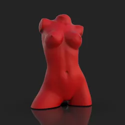 3D Model STL Male Torso / Sexy Guy / Erotic Figure / Nude Male Bust Figure / 3D Male Body / Nude Male Bust Sculpture / 3D Sexy Body MEN