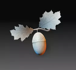 Acorn