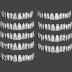 Aesthetic Tooth Libraries