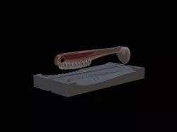 AM bait fish 10cm hoof form for predator fishing