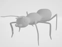 Ant Model