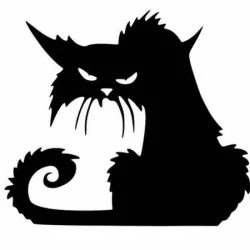 Bad Cat
