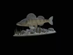 big zander underwater statue detailed texture for 3d printing