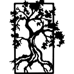 Bonzai 080421