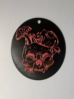 Catskull 1