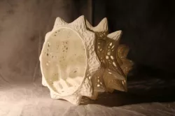 Coral's Song - Organic Voronoi Structure
