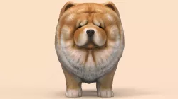 Cute Chow Chow STL and VRML