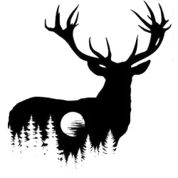 Deer 080421