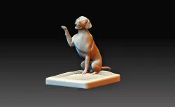 Dog Labrador