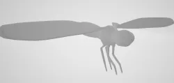 Dragonfly Model