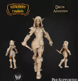 Drow Assassin