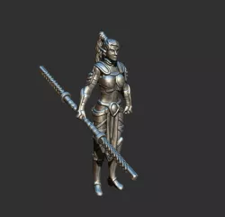 Elf female Warder Spellforce