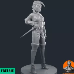Elf Rogue