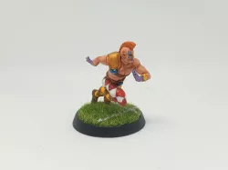 Elf Star Player