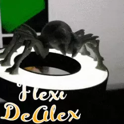 Flexi Cute Spider