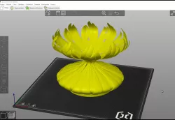 Fruit Bowl2